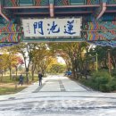 덕진태양광발전소 이미지