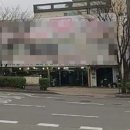 코스모 카센타 이미지