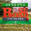 장미꽃길 2 이미지