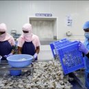 (의) 열린의료재단 서면열린의원 | &#39;개방형 감옥&#39;: 인도의 5조 달러 경제 꿈을 이끄는 강제 노동