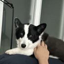 동울산영상의학과의원 | 울산 정액정밀검사, 나팔관조영술 후기 동울산영상의학과 방문