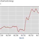 8월 미국 CPI +2.5%, 농산품&에너지 제외 +3.2% 이미지