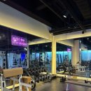 바디엔지니어스짐 이미지