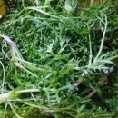 박정자농장 이미지