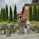 은봉애견 이미지