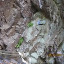 조각공원길 이미지