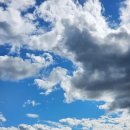 산책하는요양원 이미지