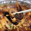 광주금호동맛집 쭈사장 쭈꾸미 포장 후기