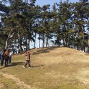 영광 월산리 월계고분군 Daum카페