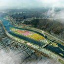 금호강하중도 이미지