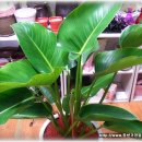 아쿠아PC방 이미지