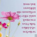 "성남시 분당구 봇들1단지 판교 신미주APT.를 찾아서"＜2021.08.31(화)＞ 이미지