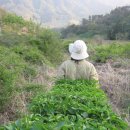 구적골농원 이미지