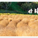 용인농촌테마파크 다목적교육관 이미지