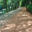 계족산산골보리밥 이미지