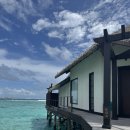 할리하우스 | 아난타라키하바, 밀라이두, 바카루, 에메랄드 파루푸시, 쥬메이라 올하할리, 오젠리저브볼리푸시 비교