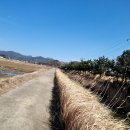 남파랑길 70코스 고흥구간 백석 버스정류장에서 녹동 버스터미날까지 총걸 15KM 소요시간 3시간50분 이미지