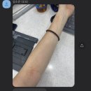 잠수바다내음 이미지
