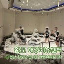 신지면-3 | [내돈내산] 완도 여행 필수 코스 완도해양치유센터 기본 2 프로그램 가족할인 꿀팁 후기