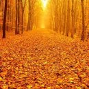 종로무도장 이미지