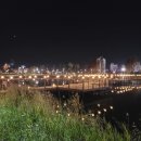 비슬동물병원 이미지