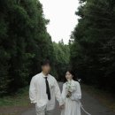 표선 교차로 4 이미지