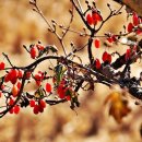 수성성모연합한의원 이미지