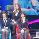 쓰담쓰담 이미지