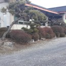 만평식당 이미지