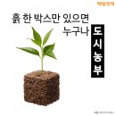 농부박스 매일경제