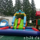 돌고래어린이집 이미지