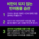 뉴타운동물병원 이미지