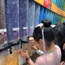 신양파크호텔 (예원) | 상해 디즈니랜드 가족여행 2박3일 후기 (임산부도 편했던 프라이빗 여행)