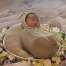 포근담 산부인과 조리원 후기👩🏻‍🍼