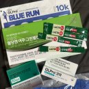 홍종현 | 2024 블루런 WITH 정관장 10KM 참가후기 (WITH.홍종현,이영표)