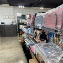 펫스페이스 이미지