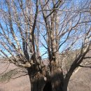 우곡사 저수지 이미지