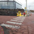 도순초등학교 이미지