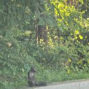 아세안자연휴양림 이미지