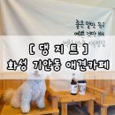 댕지트