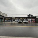 발라공장 | 강원도고성 봉포해수욕장맛집 봉포조개공장 조개구이 조개탕 식사 후기