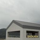 카페ARA | 진해카페 바다아라 내돈내산 후기 부산근교 드라이브코스 추천
