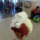 사국민박 | 로마여행과 로마한인민박 후기