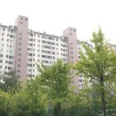 분당-329 이미지