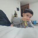 코코네이처 이미지