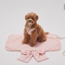 펫토피아 | 더샐리스로우 강아지 하네스 브랜드 추천 토끼 키링 풋백 배변봉투