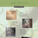 모리바이브리버스