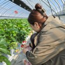 김만식농장 이미지