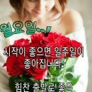 설천면116 Daum카페