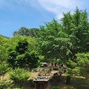 연못들3 이미지